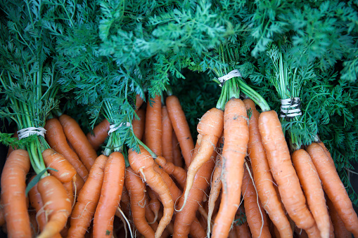 View from above of bunches of freshly-picked orange carrots on display at a farmer's market.