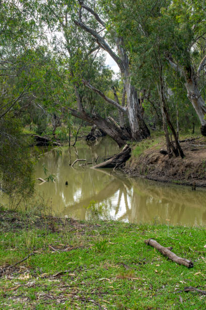 istock View across bend in river, Lachlan River, Hillston, NSW, Australia 1399822162