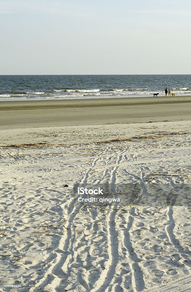 Beach en Hilton Head Island, Carolina del Sur - Foto de stock de Aire libre libre de derechos