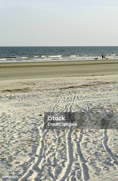 Spiaggia Sullisola Di Hilton Head Carolina Del Sud - Fotografie stock e altre immagini di Ambientazione