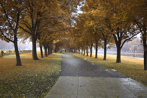istock Autumn in Washington, D.C. 139982669