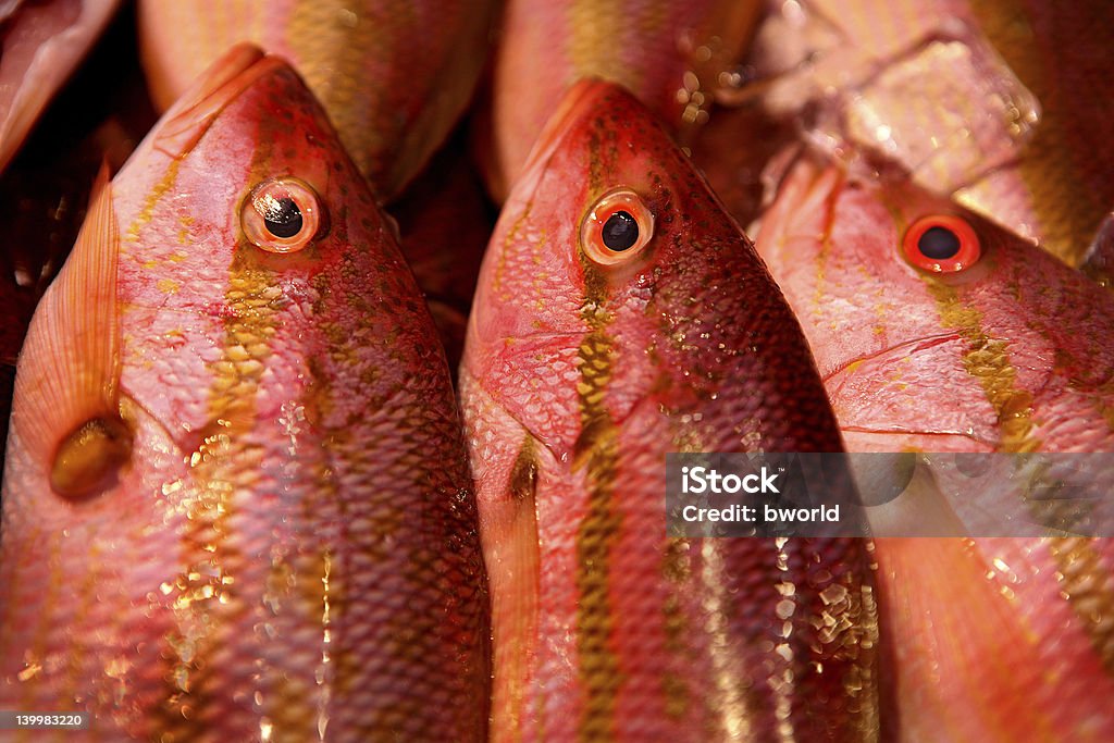 Świeże ryby, zbliżenie na rynku - Zbiór zdjęć royalty-free (Barbecue)
