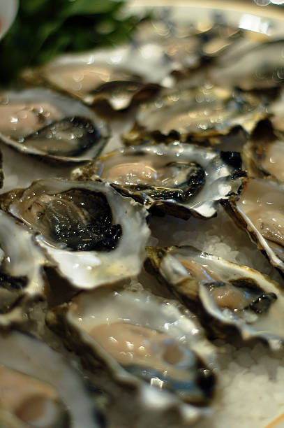 Raw oysters stock photo