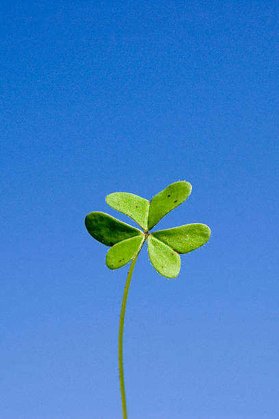 istock Clover in middle of the sky 139983492