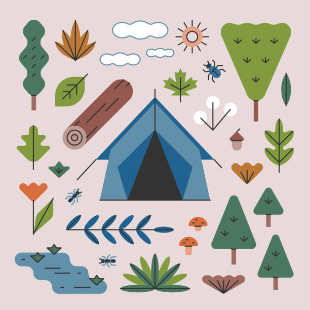 namiot kempingowy z drzewami i roślinami leśnymi — seria brightline - outline hiking woods forest stock illustrations