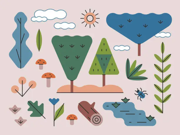 Vector illustration of Woodland Trees & Plants — Brightline Series