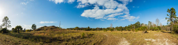 istock Aripeka Sandhills Preserve 1399836598