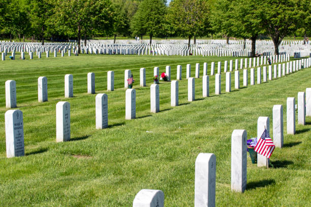 cementerio nacional fort snelling - cemetery grave military beauty in nature fotografías e imágenes de stock