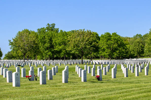 cementerio nacional fort snelling - cemetery grave military beauty in nature fotografías e imágenes de stock