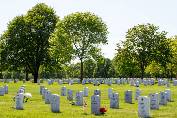 cementerio nacional fort snelling - cemetery grave military beauty in nature fotografías e imágenes de stock