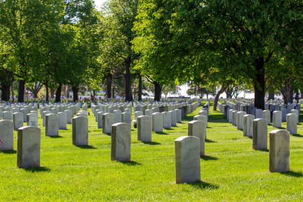 cementerio nacional fort snelling - cemetery grave military beauty in nature fotografías e imágenes de stock