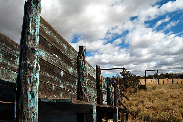 Old Cattle fence stock photo