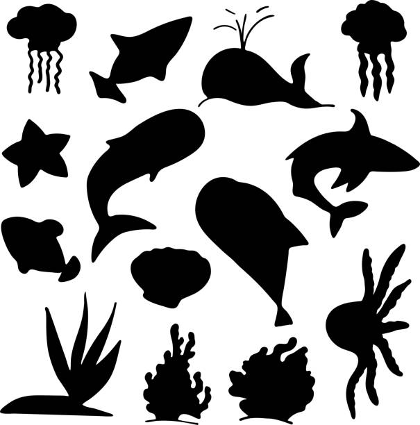 illustrations, cliparts, dessins animés et icônes de ensemble de fish silhouette. collection fish silhouette. éléments isolés sur fond blanc. - medusa