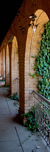 Arches and Ivy stock photo