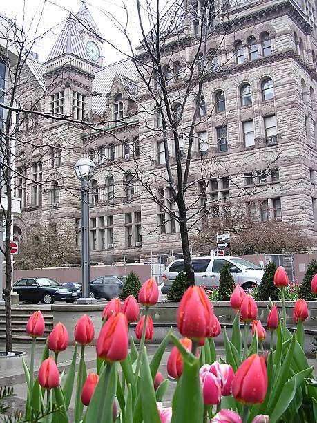 istock Red Tulips and the Castle 139984523