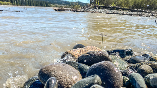 The river rocks come in a variety of colors, shapes, and sizes.