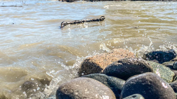 The driftwood and pebbles that have been carried by the currents and deposited on the shoreline of Lake Constance are visible from Lochau, Austria.