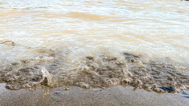 istock Ebb and Flow of the River 1399845754