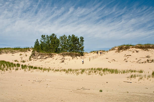 istock Beautiful sky and sand dunes 139984744