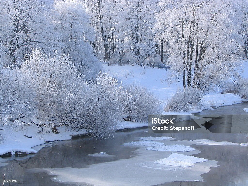 冬の川 - クリスマスの飾りのロイヤリティフリーストックフォト