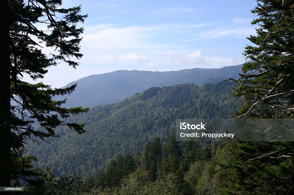 Great Smoky Mountains - Lizenzfrei Appalachen-Region Stock-Foto
