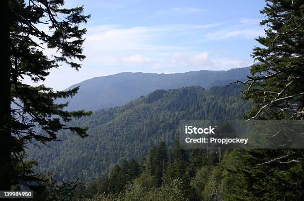 Great Smoky Mountains Stockfoto und mehr Bilder von Appalachen-Region - Appalachen-Region, Baum, Blau