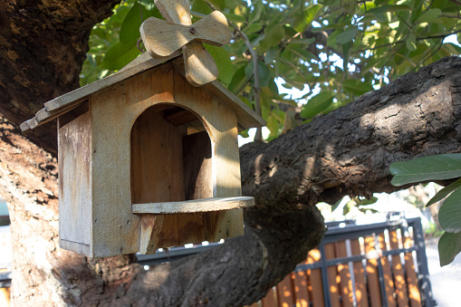 wooden birdhouse on the tree. Birdhouse in the garden. Home decorative with birdhouse. Natural concept.