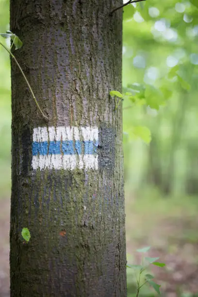 Photo of Hiking trail marker on a tree in forest.