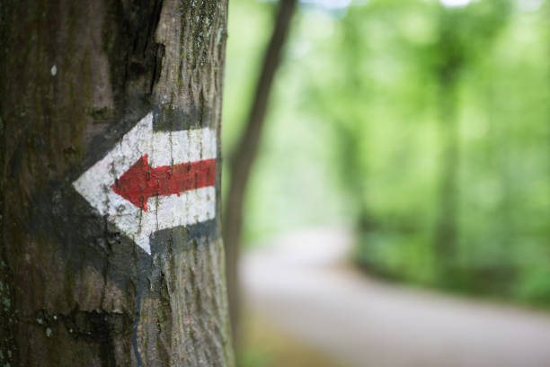 sign with an arrow pointing to a walking path in an autumn forest and a pedestrian symbol, space for an inscription