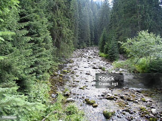 Fundente En El Bosque Foto de stock y más banco de imágenes de Agua - Agua, Aire libre, Alegre