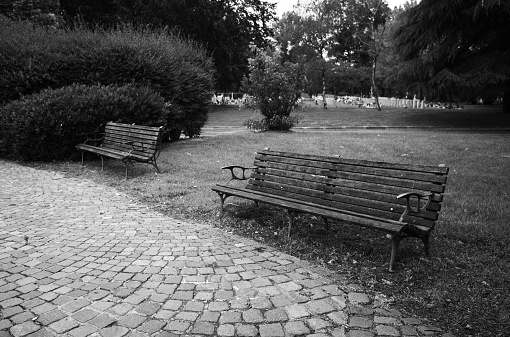 bench in a cemetery