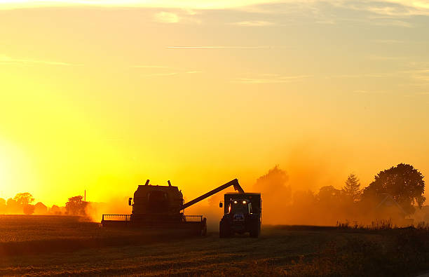 istock Harvest in the evening 139985797