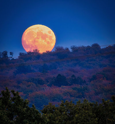 Red full moon over a forest valley landscape at dawn in the Ardennes.\nLocation: Mirwart, Ardennes, Belgium, Europe
