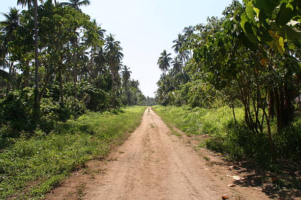 istock Dirt road on tropical island 139985946