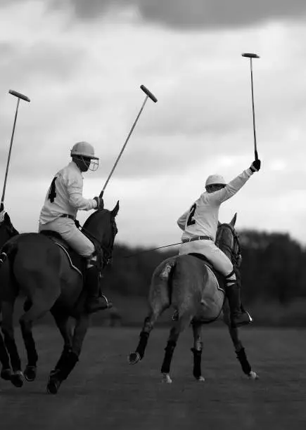 Polo players. Polo match in Moscow, Russia.