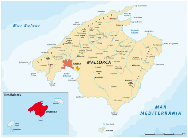 ilustraciones, imágenes clip art, dibujos animados e iconos de stock de mapa vectorial de la isla mediterránea española de mallorca - mallorca