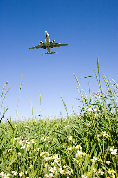 Airplane over grassy field stock photo