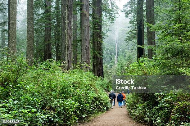 Foto de Turistas No Redwoods e mais fotos de stock de Andar - Andar, Parque Nacional de Redwood, Sequoia Gigante