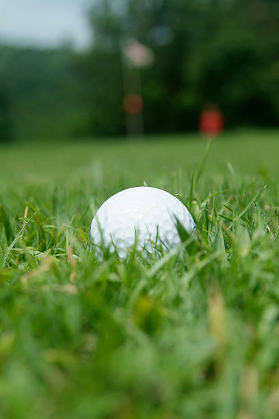 istock Golf-ball near the green 139986652