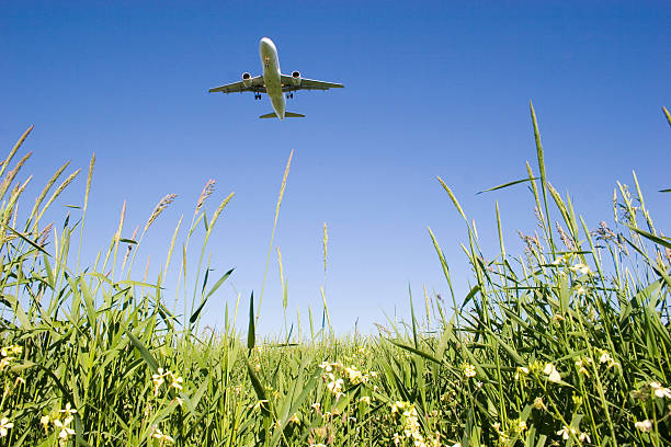 Airplane over grassy field 2 stock photo