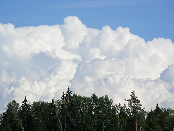 cumulus stock photo