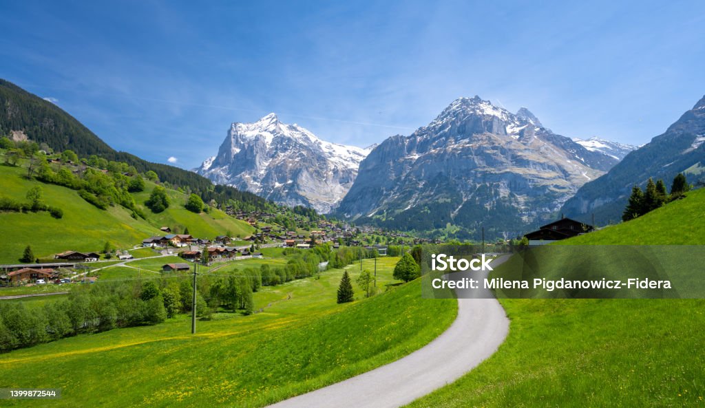 road between alpine green meadows with Alps mountains in Grindelwald in Switzerland Amazing alpine landscape in Switzerland Grindelwald Stock Photo