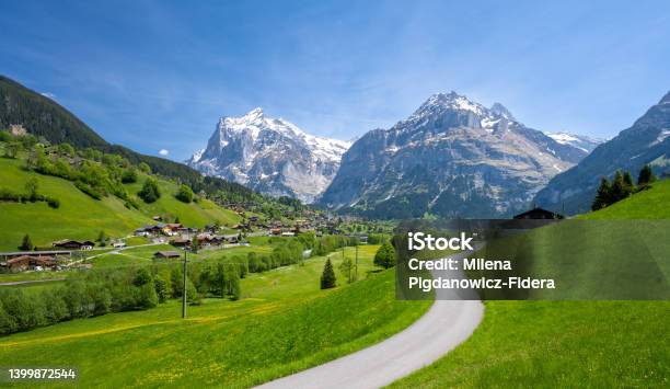 Road Between Alpine Green Meadows With Alps Mountains In Grindelwald In Switzerland Stock Photo - Download Image Now