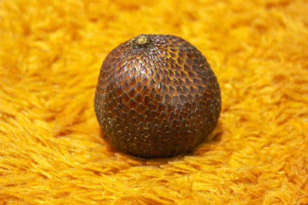 Coconuts for sale in a traditional marketClose-Up of Salak Fruit or Snake Fruit. Isolated