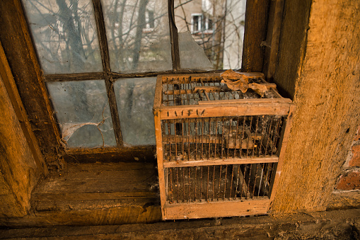 Old Windows in dumpster ready to recycle