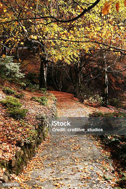 Photo libre de droit de Chemin De Lautomne banque d'images et plus d'images libres de droit de Changement - Changement, Voie piétonne, Arbre