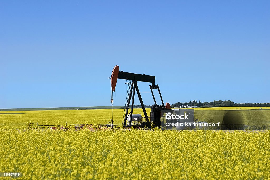 Pompa Jack in un campo di colza II - Foto stock royalty-free di Pompa di estrazione petrolifera