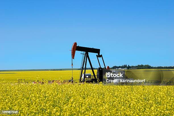 Pompa Jack In Un Campo Di Colza Ii - Fotografie stock e altre immagini di Pompa di estrazione petrolifera - Pompa di estrazione petrolifera, Alberta, Campo