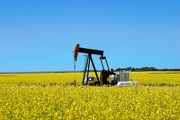 istock Pump Jack in a Canola Field II 139987549