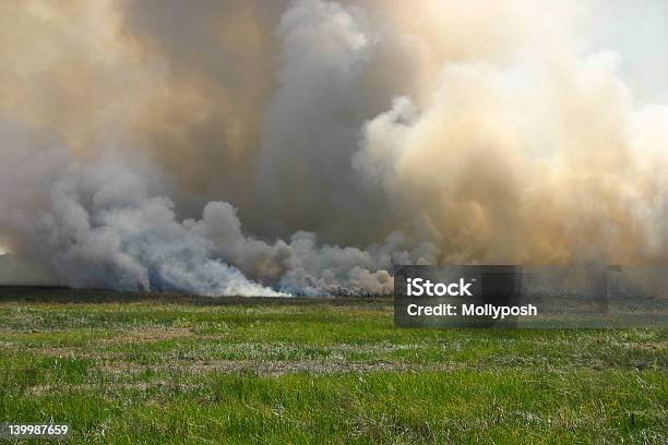 Bush Fuego Ii Foto de stock y más banco de imágenes de Ancho - Ancho, Incendio forestal, Aire libre
